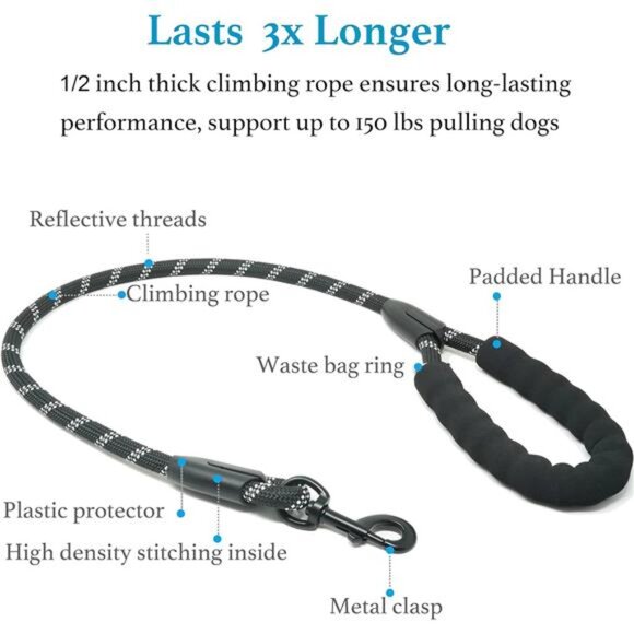 Dual Dog Leash - 360° Swivel, No Tangle Walking Leash with Shock Absorbing Bunge - Picture 3 of 7